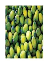 Tài liệu Bài thuốc cho người huyết áp thấp pdf