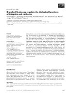 Tài liệu Báo cáo khoa học: Branched N-glycans regulate the biological functions of integrins and cadherins doc