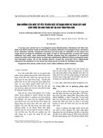 Tài liệu Báo cáo 