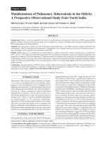 Tài liệu Manifestations of Pulmonary Tuberculosis in the Elderly: A Prospective Observational Study from North India pptx