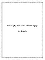 Tài liệu Những lý do nên học thêm ngoại ngữ mới docx