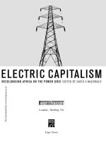 Tài liệu Electric Capitalism ppt