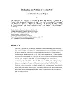 Tài liệu Particulate Air Pollution in Mexico City: A Col laborative Research Project doc