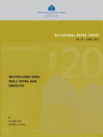 Tài liệu INFLATION-LINKED BONDS FROM A CENTRAL BANK PERSPECTIVE pptx