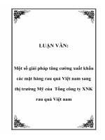 Tài liệu LUẬN VĂN: Một số giải pháp tăng cường xuất khẩu các mặt hàng rau quả Việt nam sang thị trường Mỹ của Tổng công ty XNK rau quả Việt nam pdf