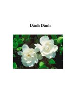 Tài liệu Dành Dành pdf
