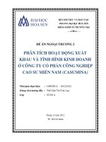 phân tích hoạt động xuất khẩu và tình hình kinh doanh ở công ty cổ phần công nghiệp cao su miền nam (casumina)