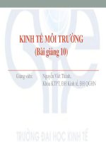 Tài liệu KINH TẾ MÔI TRƯỜNG (Bài giảng 10) pdf