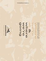 Tài liệu Young People in South Africa in 2005 pdf