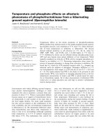 Tài liệu Báo cáo khoa học: Temperature and phosphate effects on allosteric phenomena of phosphofructokinase from a hibernating ground squirrel (Spermophilus lateralis) pptx