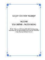 Nâng cao chất lượng thẩm định tín dụng trong hoạt động cho vay doanh nghiệp vừa và nhỏ tại NHTMCP Công Thuơng chi nhánh Cửa Lò