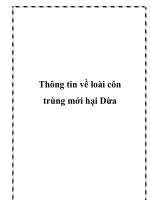 Tài liệu Thông tin về loài côn trùng mới hại Dừa pdf