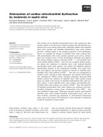 Tài liệu Báo cáo khoa học: Attenuation of cardiac mitochondrial dysfunction by melatonin in septic mice ppt
