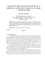 Lựa chọn các điều kiện lên men xốp tối ưu và nghiên cứu các đặc tính xylanase từ các chủng vi khuẩn ưu nhiệt