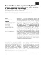 Tài liệu Báo cáo khoa học: Characterization of electrogenic bromosulfophthalein transport in carnation petal microsomes and its inhibition by antibodies against bilitranslocase docx
