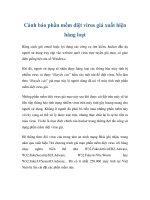 Tài liệu Cảnh báo phần mềm diệt virus giả xuất hiện hàng loạt docx