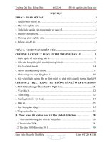 Tài liệu Đề tài: Thị trường bán lẻ hàng hóa ở khu kinh tế Nghi Sơn pot