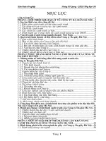 làm thế nào để sản phẩm của công ty da giày hn có thể cạnh tranh mạnh trên thị trường nội địa