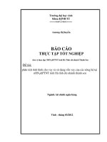 Phân tích tình hình cho vay và sử dụng vốn vay của các nông hộ tại nHNo&PTNT tỉnh Hà tĩnh chi nhánh thành sen