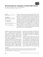 Tài liệu Báo cáo khoa học: Structural bases for recognition of Anp32⁄LANP proteins doc