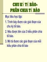 Tài liệu Chu kỳ tế bào- phân chia tế bào pot