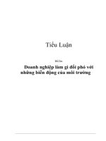 Tài liệu Đề tài: Doanh nghiệp làm gì đối phó với những biến động của môi trường pdf