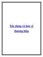 Tài liệu Xây dựng và bảo vệ thương hiệu doc