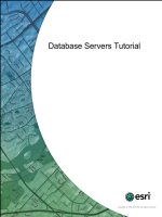 Tài liệu Database Servers Tutorial pdf