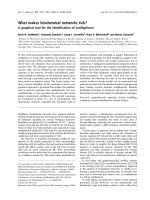 Tài liệu Báo cáo khoa học: What makes biochemical networks tick? A graphical tool for the identiﬁcation of oscillophores ppt
