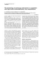 Tài liệu THE BACTERIOLOGY OF PULMONARY TUBERCULOSIS IN A POPULATION WITH HIGH HUMAN IMMUNODEFICIENCY VIRUS SEROPREVALENCE ppt