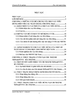 gỉai pháp mở rộng hoạt động cho vay tiêu dùng tại chi nhánh nhno & ptnt - hà thành