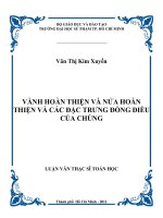 vành hoàn thiện và nửa hoàn thiện và các đặc trưng đồng điều của chúng