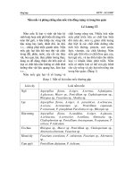 Tài liệu Nấm mốc và phòng chống nấm mốc trên đồng ruộng và trong bảo quản pot