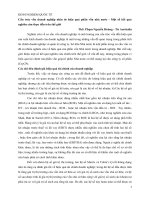 BCKH cấu trúc vốn doanh nghiệp nhìn từ hiệu quả phần vốn nhà nước   một số kết quả nghiên cứu thực tiễn trên thế giới