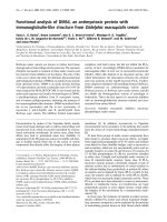 Tài liệu Báo cáo Y học: Functional analysis of DM64, an antimyotoxic protein with immunoglobulin-like structure from Didelphis marsupialis serum pdf