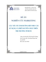 Nghiên cứu marketing Các yếu tố ảnh hưởng đến nhu cầu sử dụng cà phê nguyên chất trên thị trường TP.Hồ Chí MinhNghiên cứu marketing Các yếu tố ảnh hưởng đến nhu cầu sử dụng cà phê nguyên chất trên thị trường TP.Hồ Chí Minh
