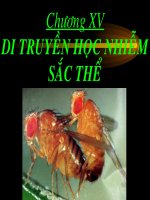 Di truyền học nhiễm sắc thế