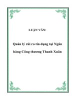 Quản lý rủi ro tín dụng tại Ngân hàng Công thương Thanh Xuân