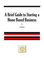 Tài liệu A Brief Guide to Starting a Home Based Business docx