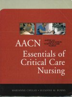 Tài liệu AACN Essentials of Critical Care Nursing_1 doc