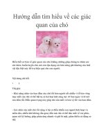 Tài liệu Hướng dẫn tìm hiểu về các giác quan của chó ppt