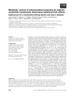 Tài liệu Báo cáo khoa học: Metabolic control of mitochondrial properties by adenine nucleotide translocator determines palmitoyl-CoA effects Implications for a mechanism linking obesity and type 2 diabetes pdf