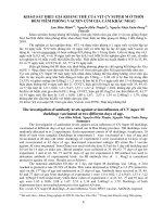 Tài liệu BÁO CÁO 