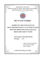 nghiên cứu khả năng đáp ứng phát sinh hình thái của lát mỏng tế bào phát hoa đồng tiền ( gerbera jamesonii ) trong điều kiện invitro