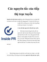 Tài liệu Các nguyên tắc của tiếp thị trực tuyến pdf