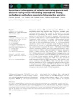 Tài liệu Báo cáo khoa học: Evolutionary divergence of valosin-containing protein ⁄cell division cycle protein 48 binding interactions among endoplasmic reticulum-associated degradation proteins ppt