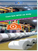 Tài liệu Cam kết WTO về giấy pdf