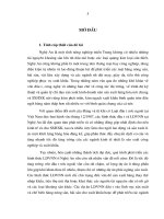 phát triển các hình thức liên doanh với nước ngoài trong sản xuất hàng xuất khẩu ở nghệ an