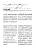 Tài liệu Báo cáo Y học: Induction of (2¢)5¢)oligoadenylate synthetase in the marine sponges Suberites domuncula and Geodia cydonium by the bacterial endotoxin lipopolysaccharide docx