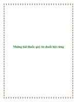 Tài liệu Những bài thuốc quý từ chuối hột rừng docx